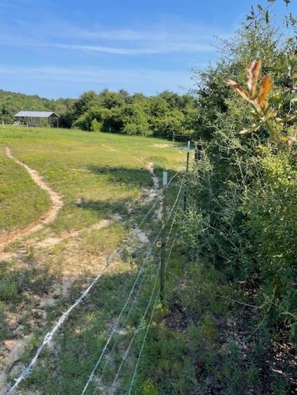 Farm and Ranch for sale in Crenshaw County, Alabama