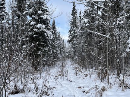 Farm and Ranch for sale in Aroostook County, Maine