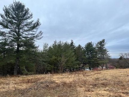 Undeveloped Land for sale in Aroostook County, Maine