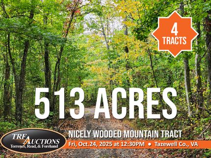 Timberland Property for sale in Tazewell County, Virginia