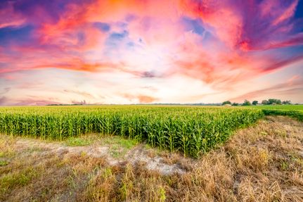 Farm and Ranch for sale in Williamson County, Texas