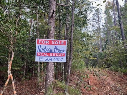 Hunting Property for sale in Monroe County, Alabama