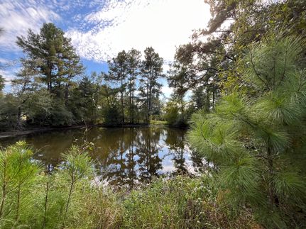 Land for sale in Trinity County, Texas