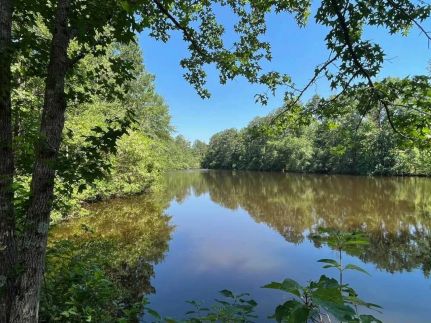 Undeveloped Land for sale in Crenshaw County, Alabama