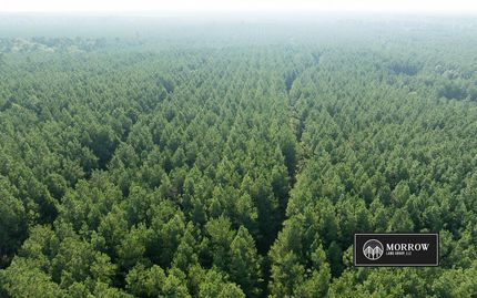 Land for sale in Bossier Parish, Louisiana