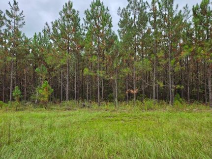 Recreational Property for sale in Emanuel County, Georgia