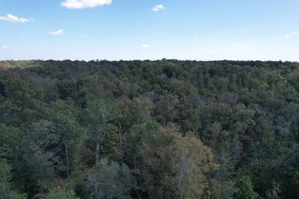 Undeveloped Land for sale in Wayne County, Missouri