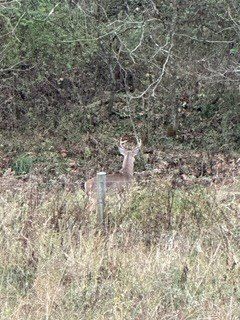 Undeveloped Land for sale in Mason County, Kentucky