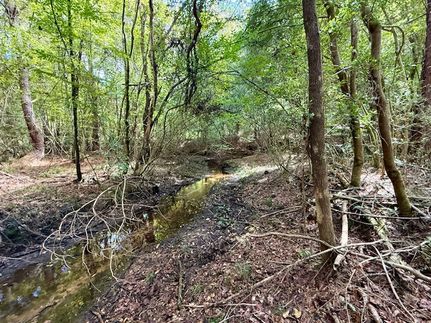 Farm and Ranch for sale in Pike County, Mississippi