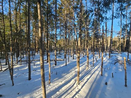 Land for sale in Piscataquis County, Maine