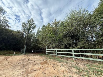 Undeveloped Land for sale in Barnwell County, South Carolina