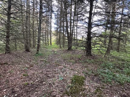 Undeveloped Land for sale in Allegany County, New York
