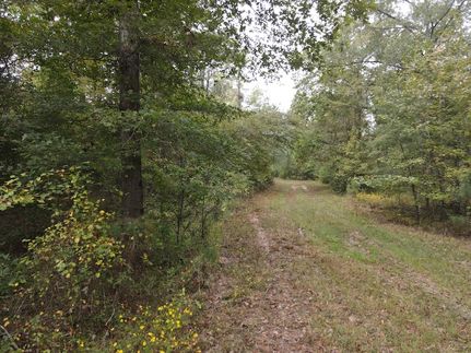 Undeveloped Land for sale in Cleveland County, Arkansas