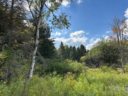 Undeveloped Land for sale in Allegany County, New York