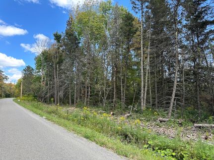 Hunting Property for sale in Allegany County, New York