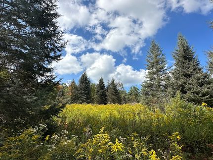 Undeveloped Land for sale in Allegany County, New York