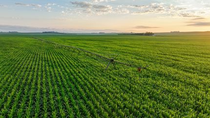 Undeveloped Land for sale in Dixon County, Nebraska
