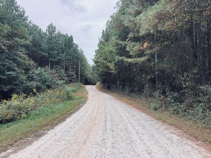 Land for sale in Elbert County, Georgia