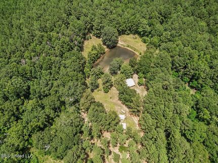 Recreational Property in Pike County, Mississippi