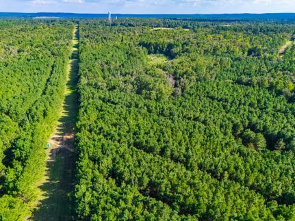 Timberland Property for sale in Anderson County, Texas