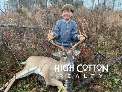 Land for sale in Holmes County, Mississippi