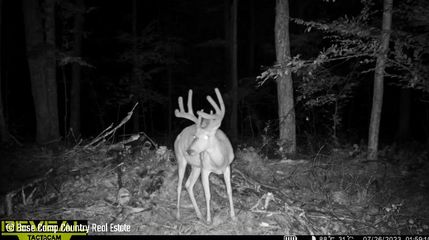 Undeveloped Land for sale in Langlade County, Wisconsin