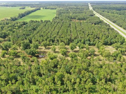 Land for sale in Mitchell County, Georgia