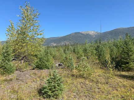 Land for sale in Bonner County, Idaho