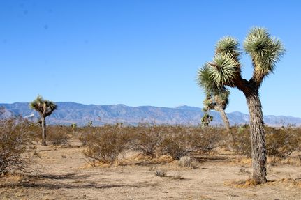 Land for sale in San Bernardino County, California