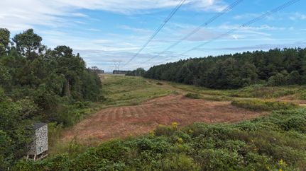 Hunting Property for sale in Pike County, Alabama