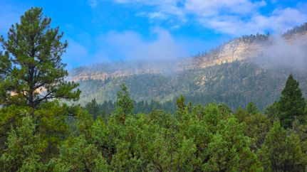 Timberland Property for sale in Rio Arriba County, New Mexico
