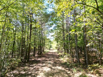 Timberland Property for sale in Franklin County, Alabama