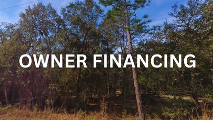 Undeveloped Land in Putnam County, Florida