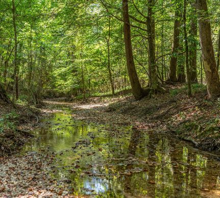 Undeveloped Land for sale in Elmore County, Alabama