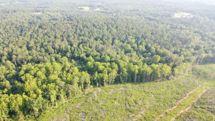Undeveloped Land for sale in Talladega County, Alabama