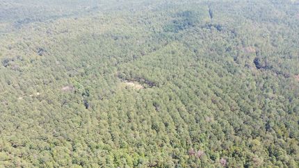 Recreational Property for sale in Lamar County, Alabama