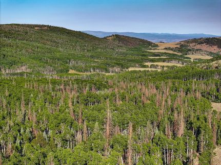Timberland Property for sale in Gunnison County, Colorado
