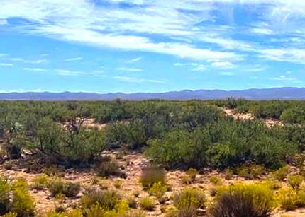 Undeveloped Land for sale in Culberson County, Texas