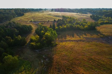 Farm and Ranch for sale in Lamar County, Texas