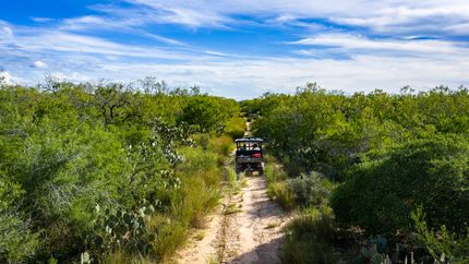 Undeveloped Land for sale in Duval County, Texas