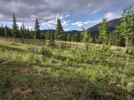 Land for sale in Park County, Colorado