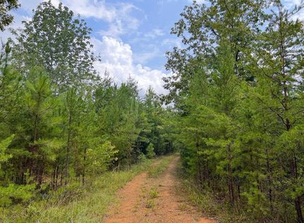 Land for sale in Bibb County, Alabama