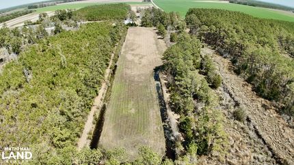 Timberland Property in Hyde County, North Carolina