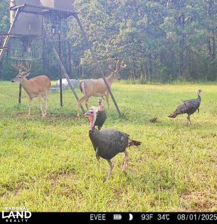 Hunting Property in Labette County, Kansas