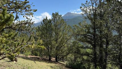Timberland Property for sale in Teller County, Colorado