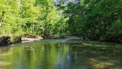 Undeveloped Land in Montgomery County, Arkansas