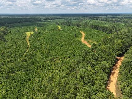 Recreational Property for sale in Pickens County, Alabama