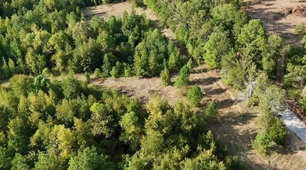 Hunting Property for sale in Lafayette County, Mississippi