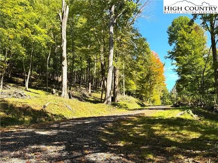 Undeveloped Land for sale in Ashe County, North Carolina