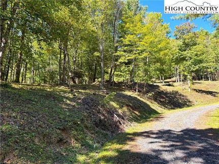 Undeveloped Land for sale in Ashe County, North Carolina